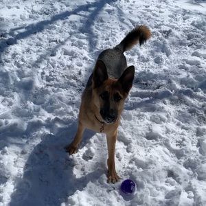 Meet your Posher, Autumn